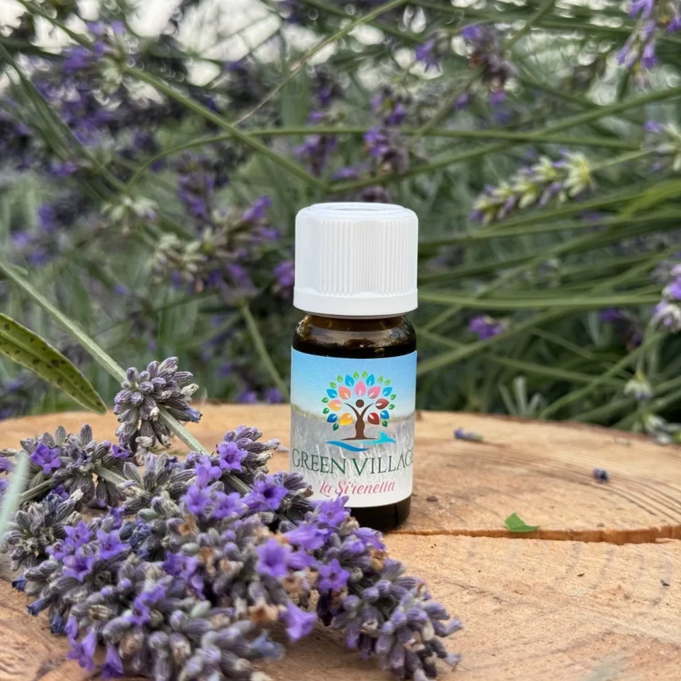 Olio essenziale di lavanda 10ml